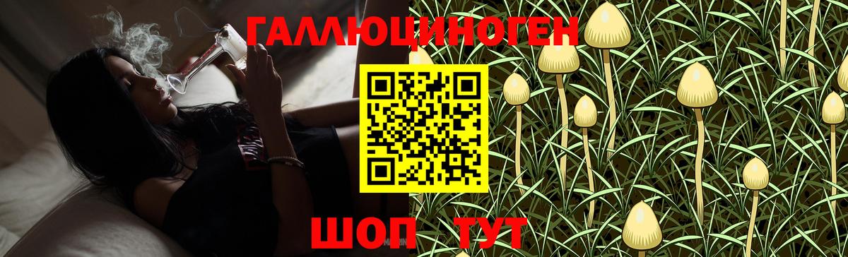 Псилоцибиновые грибы мицелий Реж